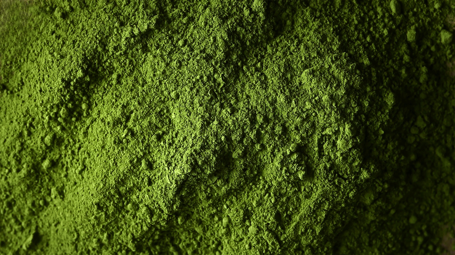 Powder Nutraceutical up close image