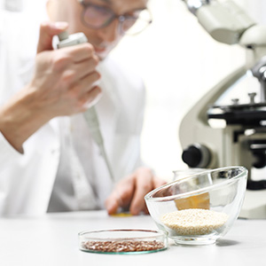 Food scientist testing ingredients